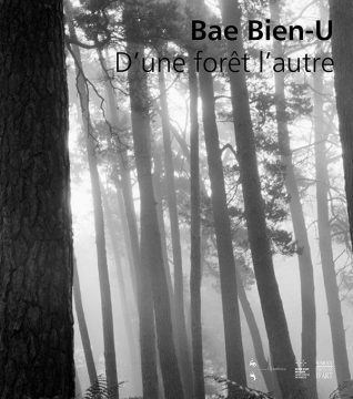 D'une forêt l'autre, Bae Bin-U