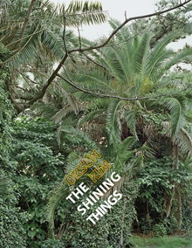 The Shining Things, Oksun Kim