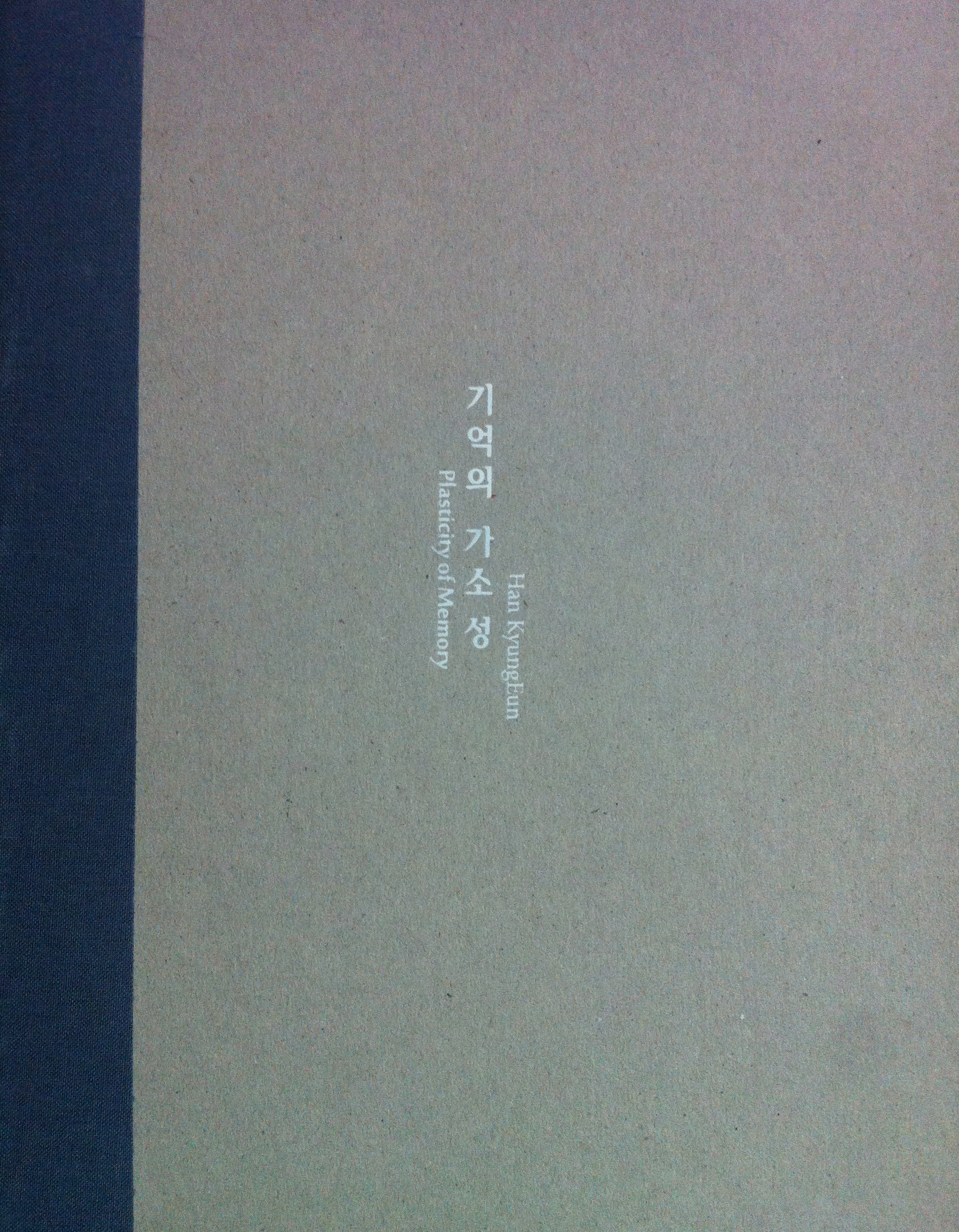 KyungEun Han / 한경은, Plasticity of Memory / 기억의 가소성