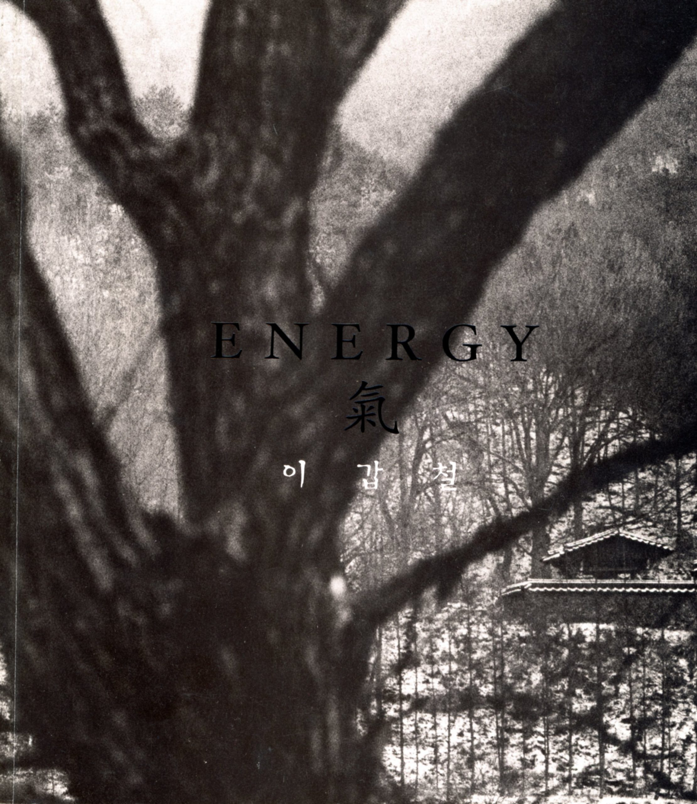 Energy / 氣, Lee Gapchul / 이갑철