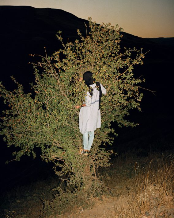 Tabriz to Shiraz, Sarah Pannell