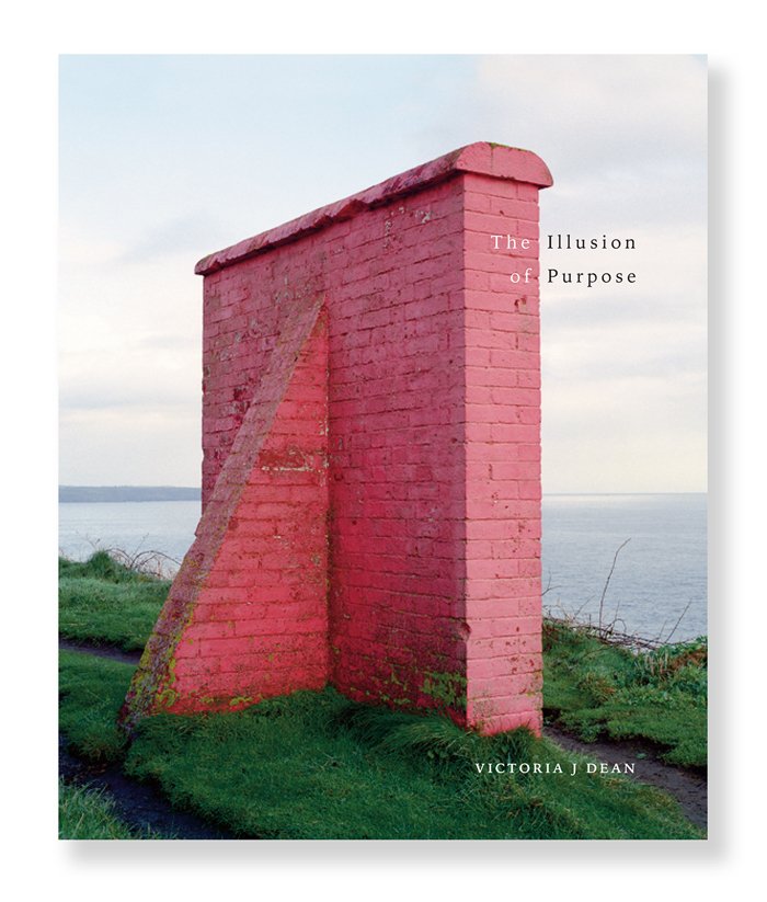 The Illusion of Purpose, Victoria J Dean