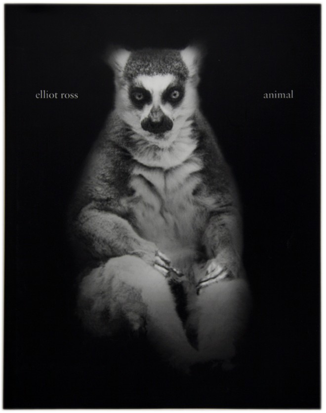 Animal, Elliot Ross
