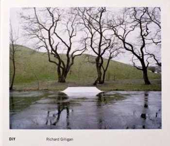 DIY, Richard Gilligan