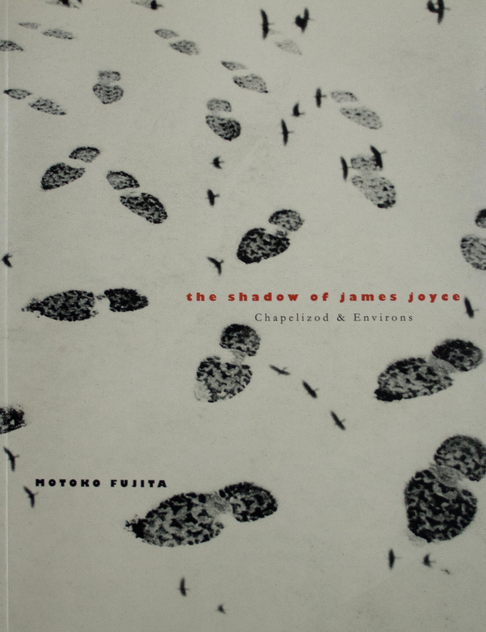 The Shadow of James Joyce: Chapelizod & Environs, Motoko Fujita
