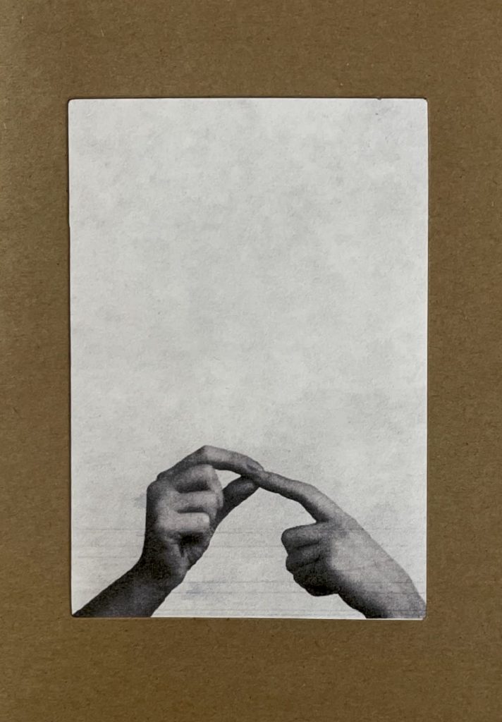A Thing With Insects, Roisin White