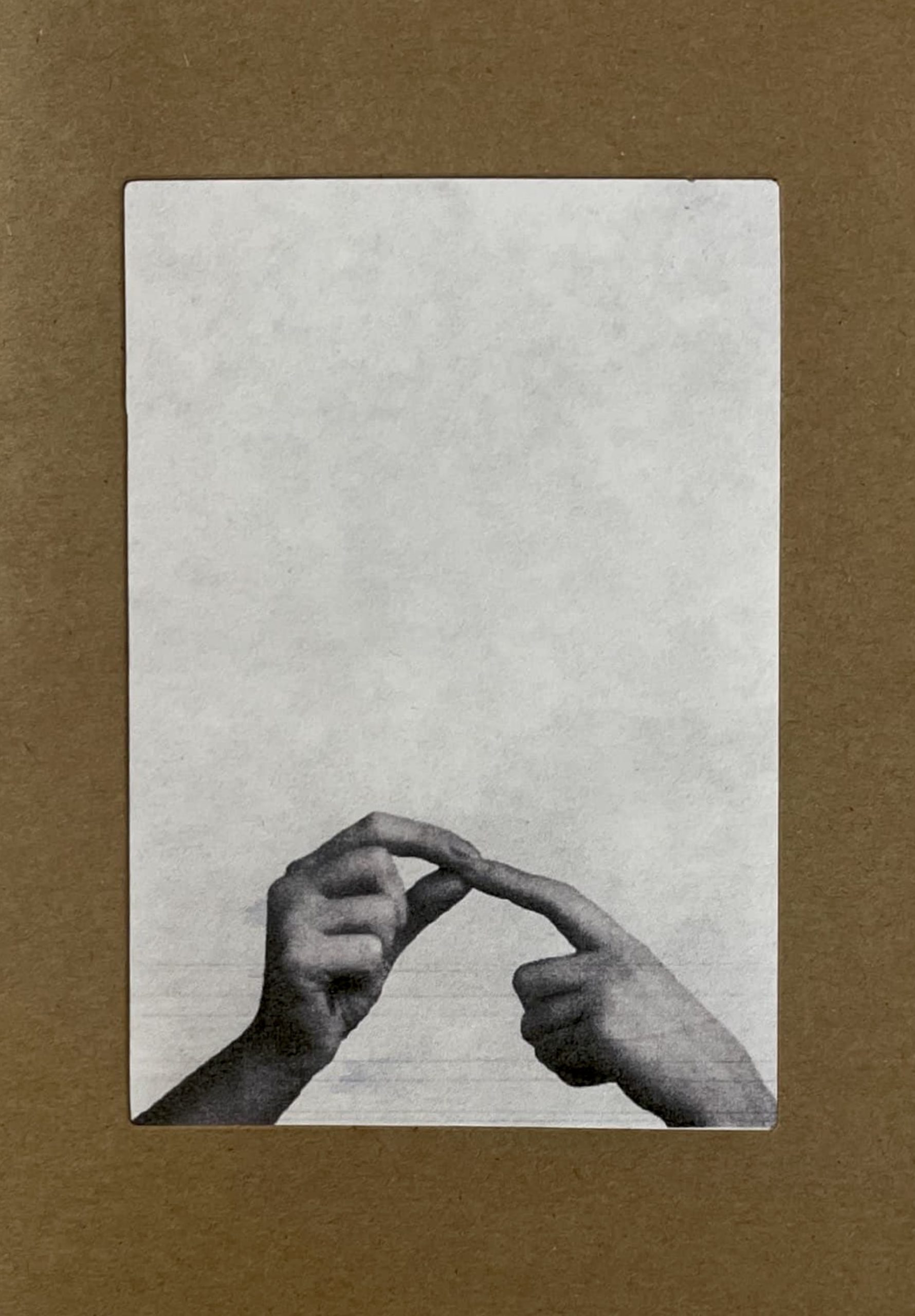 A Thing With Insects, Roisin White