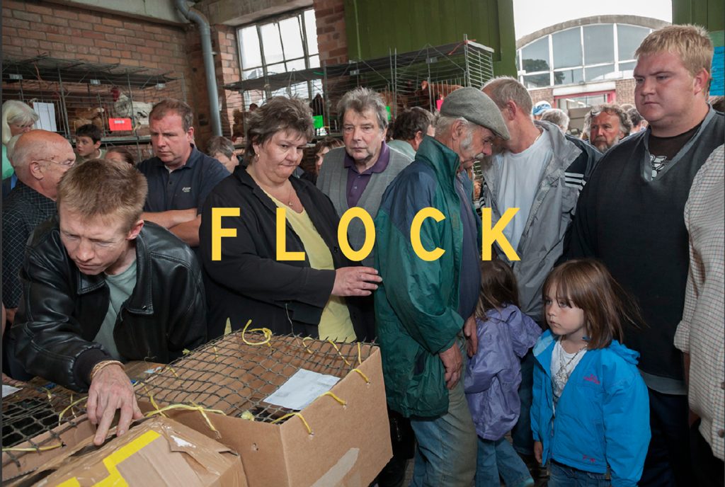 Flock, Ken Grant