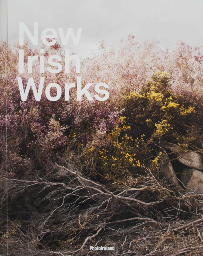 New Irish Works 2013