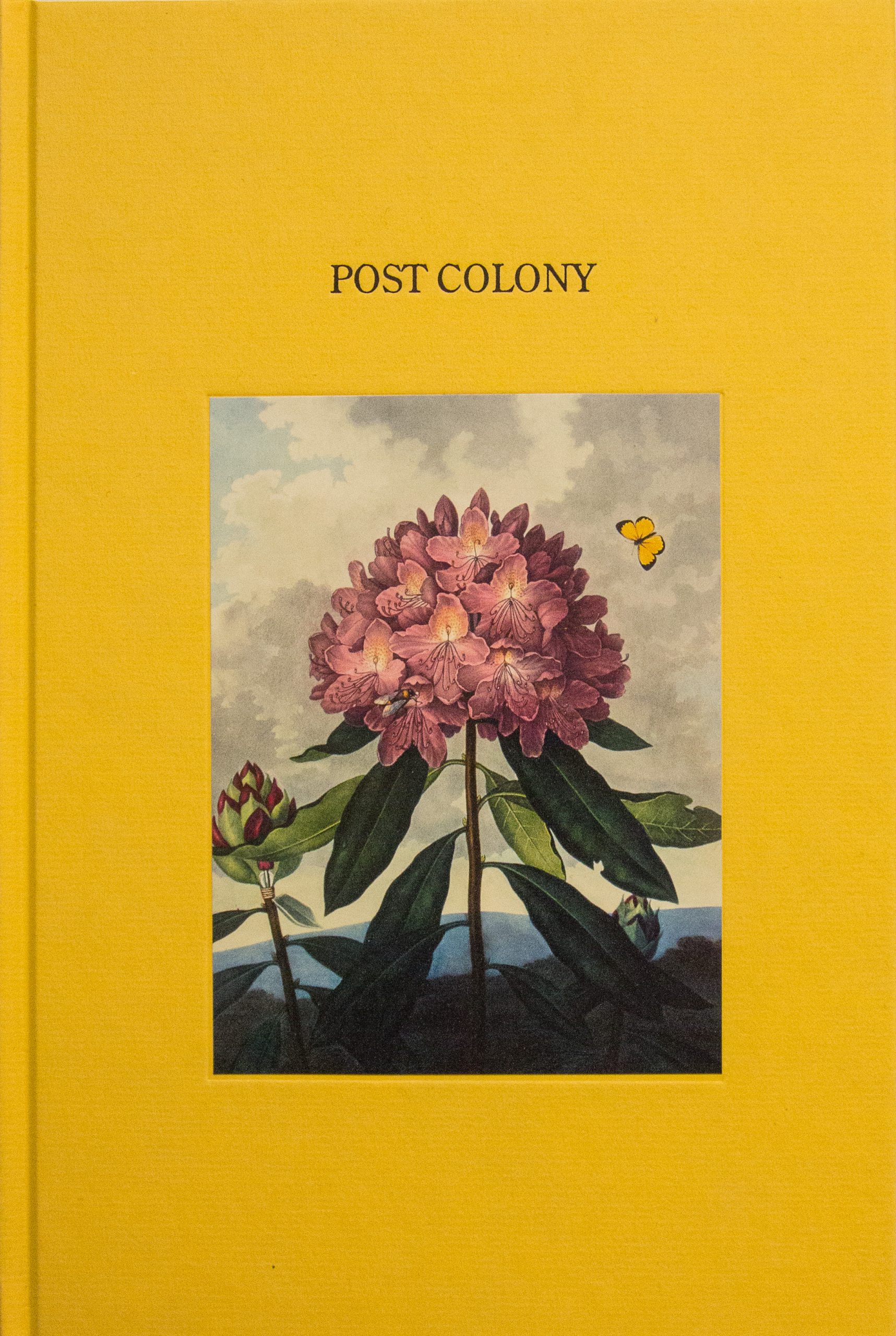 Post Colony, Gareth Kennedy