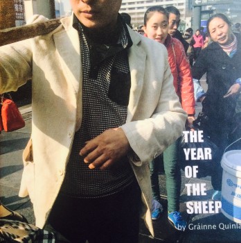 The Year of the Sheep, Grainne Quinlan