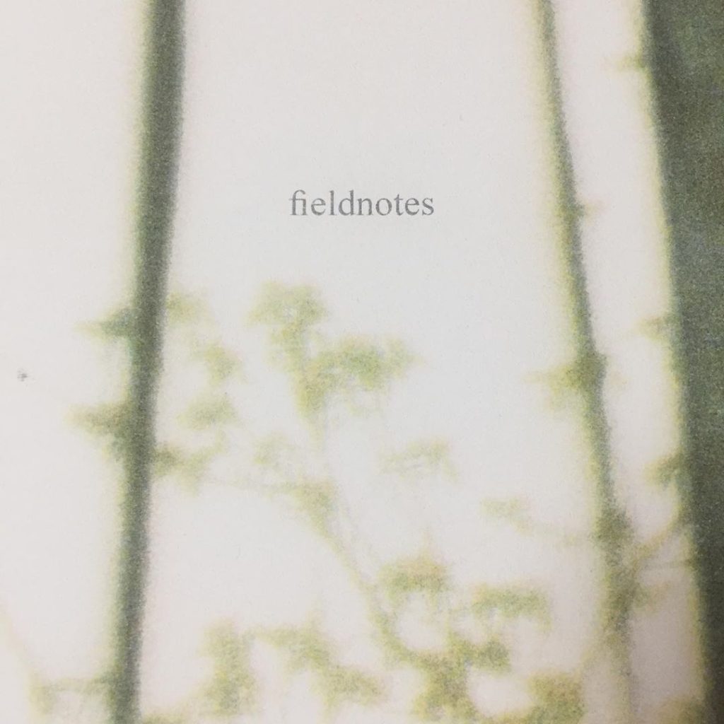 fieldnotes, Clare Lyons