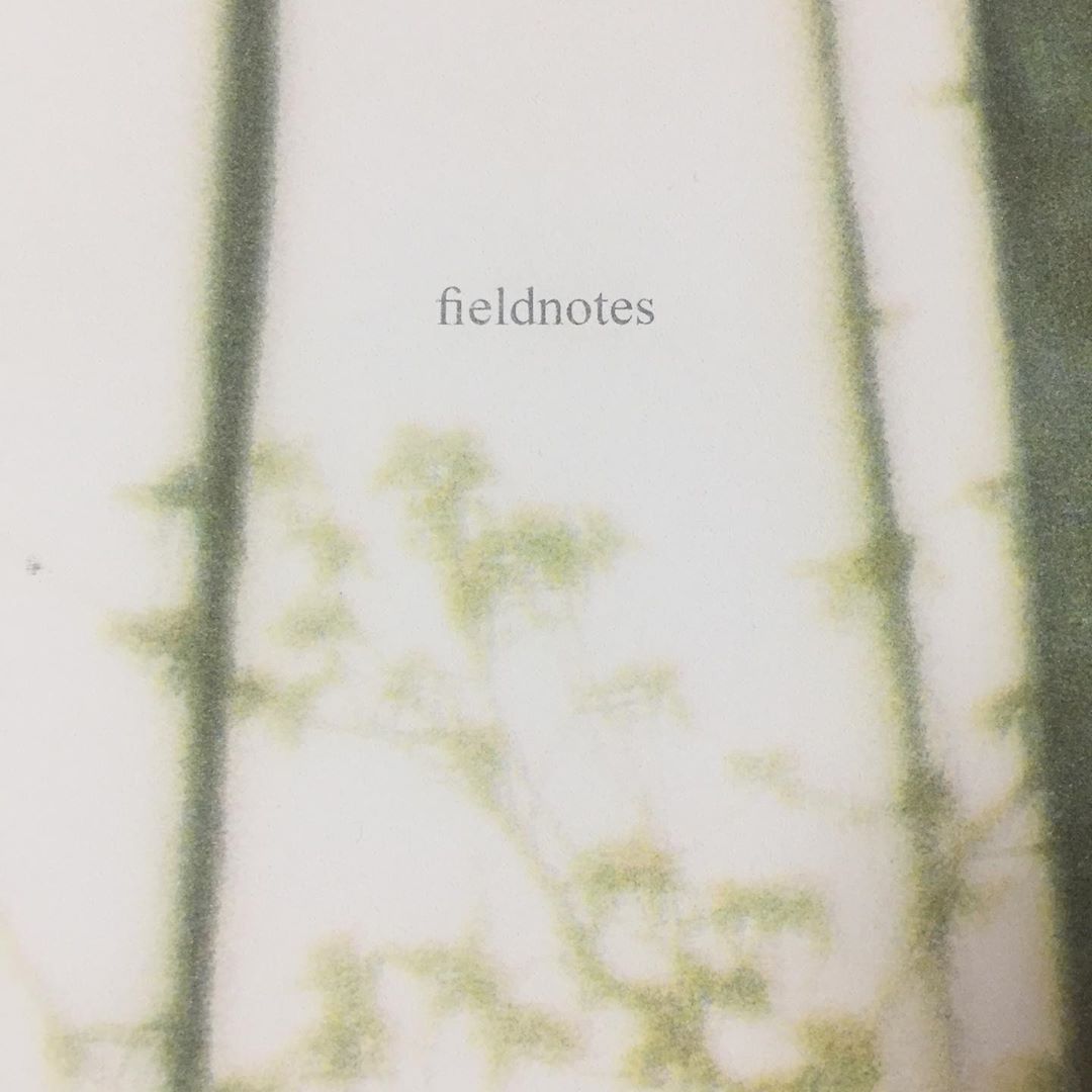 fieldnotes, Clare Lyons