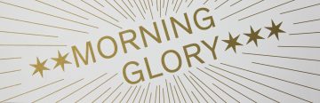 Morning Glory Jan Dirk Van Der Burg