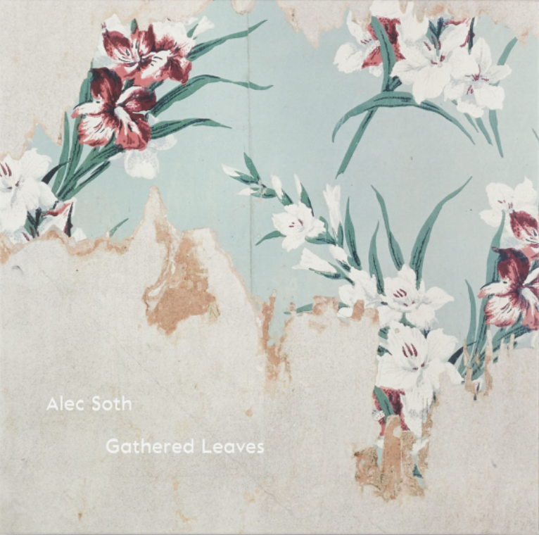 Gathered Leaves, Alec Soth
