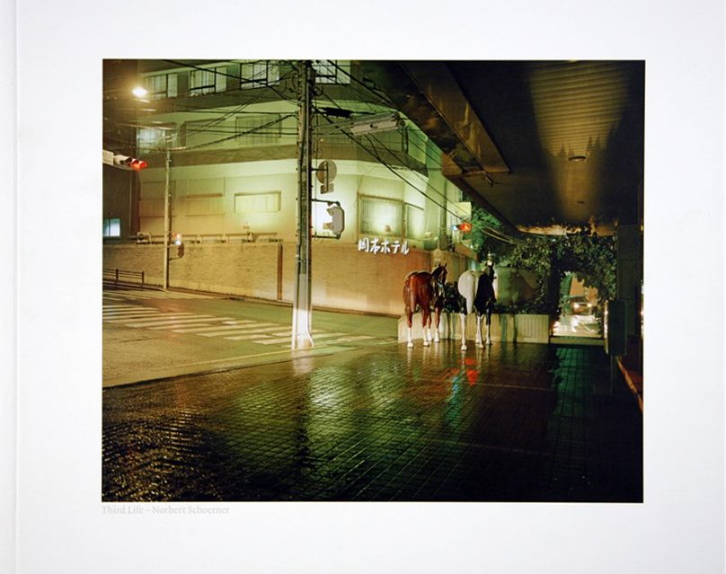 Third Life, Norbert Schoerner