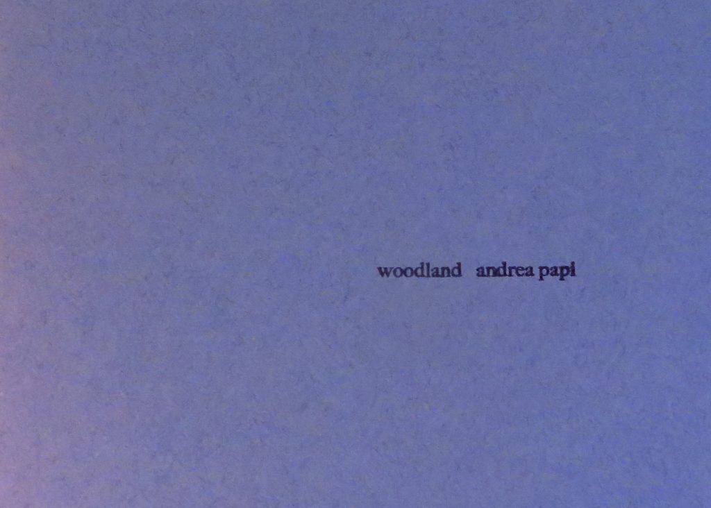 Woodland, Andrea Papi