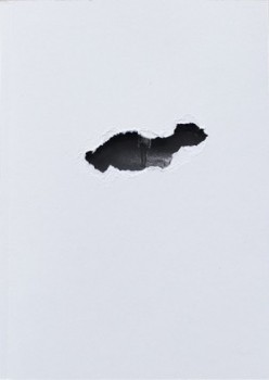 AF, Omnivore Photo