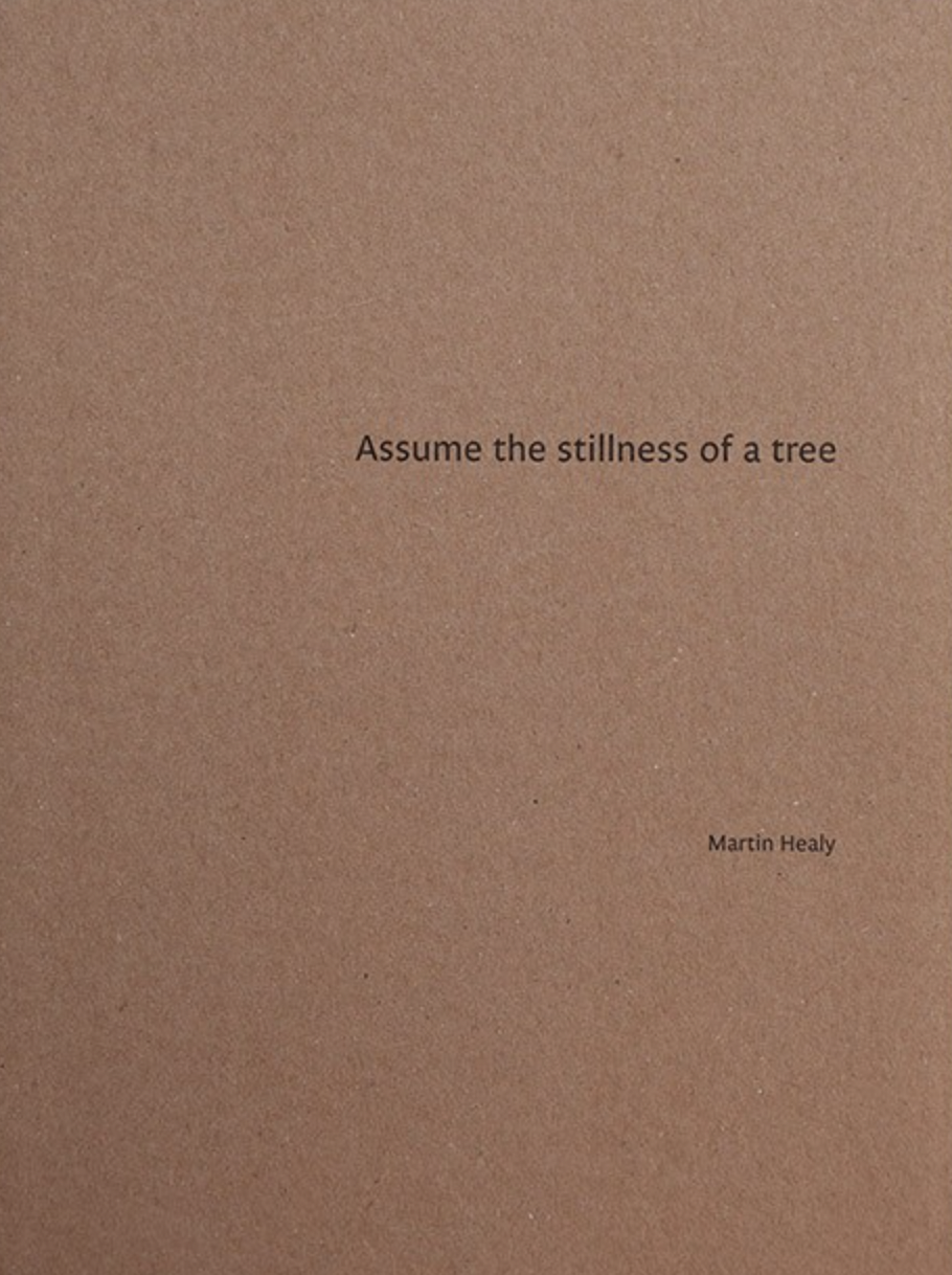 Assume the stillness of a tree, Martin Healy