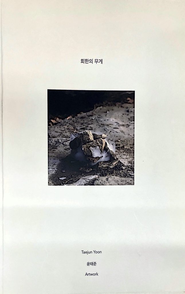 Weight of Remorse, Taejun Yoon