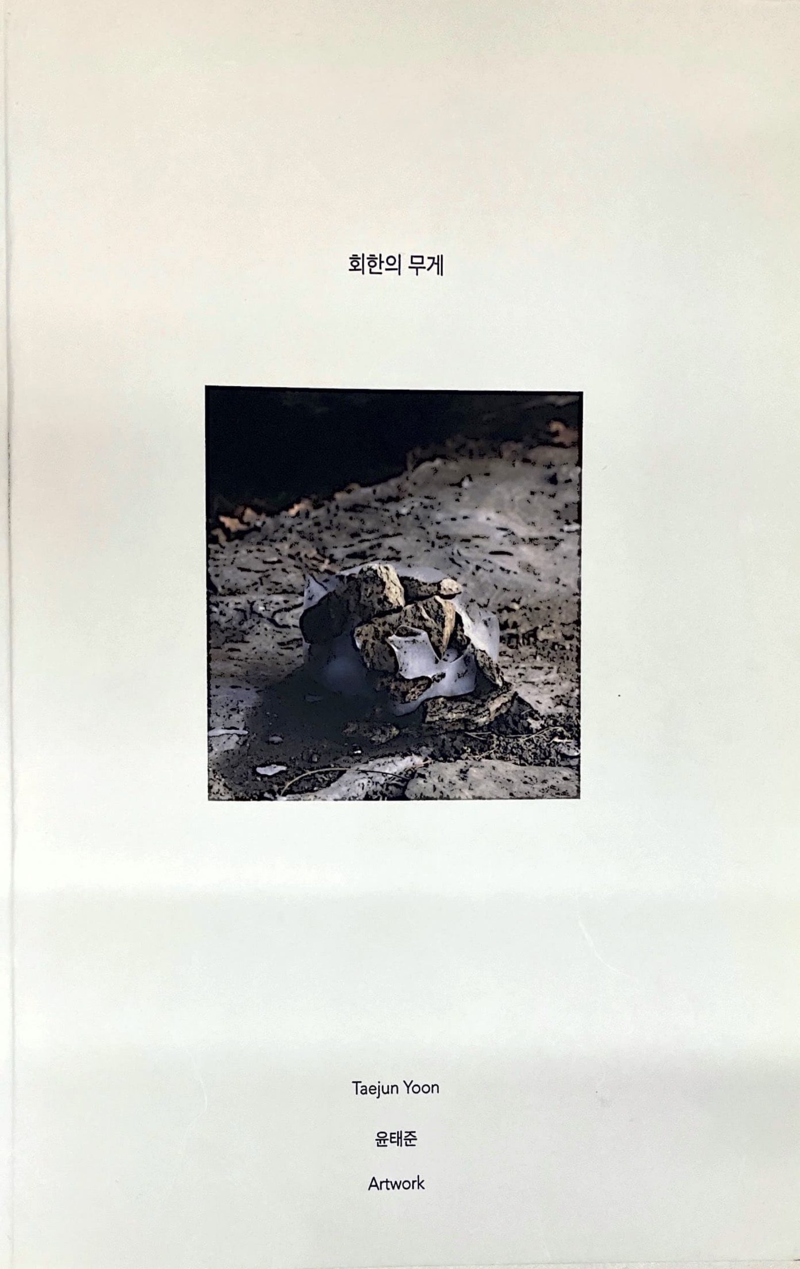 Weight of Remorse, Taejun Yoon