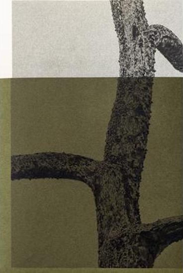 4 a.m.,Paul Cupido