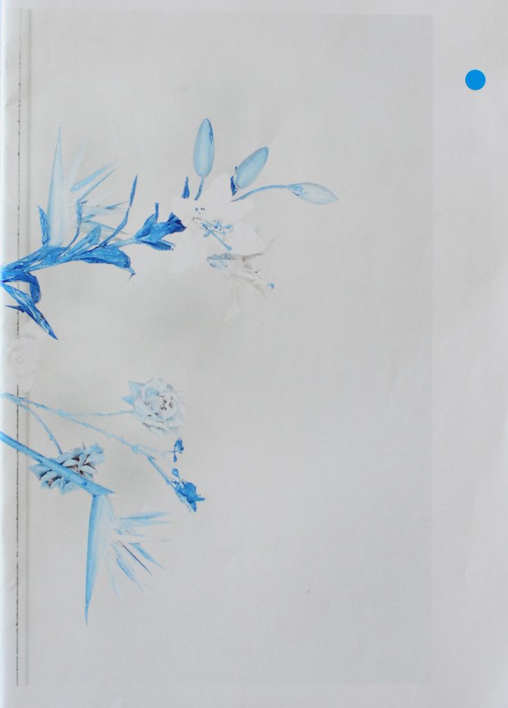 Fake Flowers in Full Colour, Jaap Scheeren and Hans Gremmen
