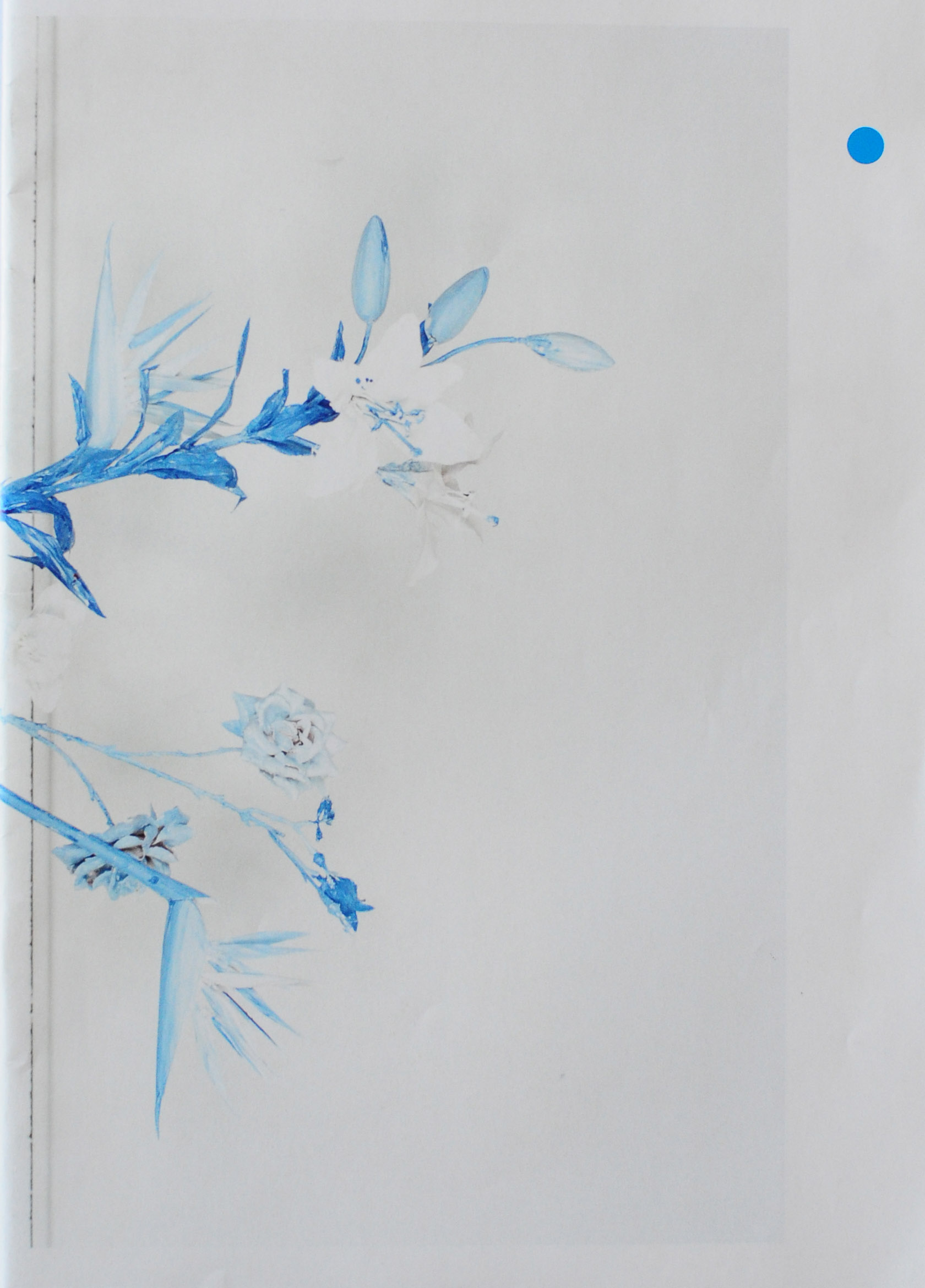 Fake Flowers in Full Colour, Jaap Scheeren and Hans Gremmen