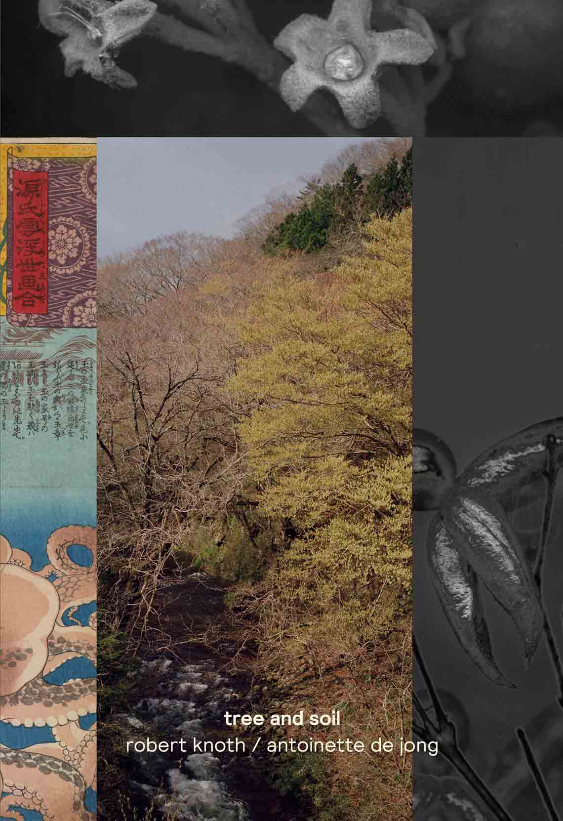 Tree and Soil