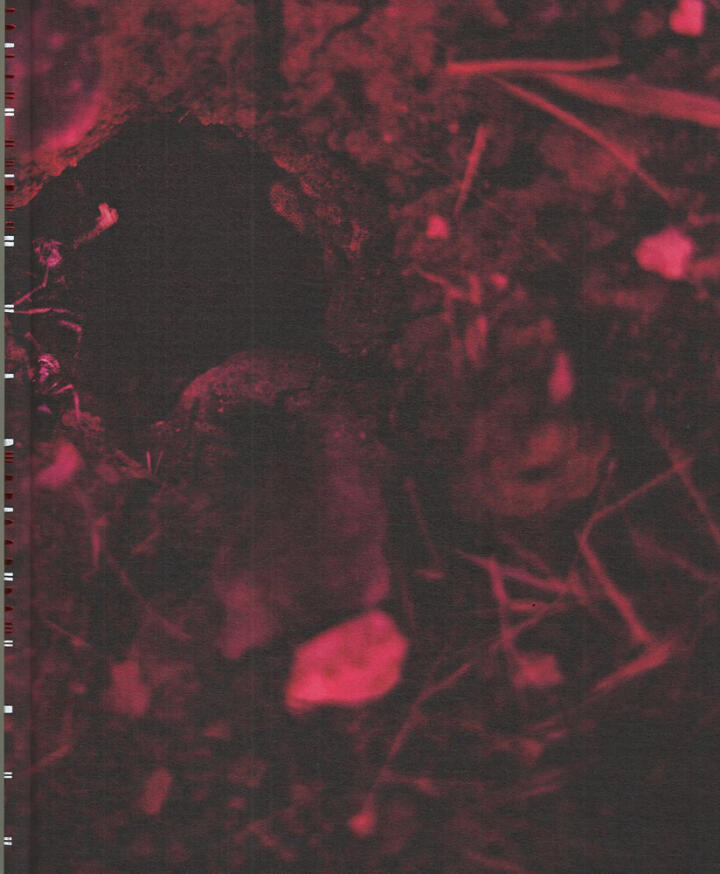 Wet Sorrow, Ibrahim Karakütük and Islak Hüzün