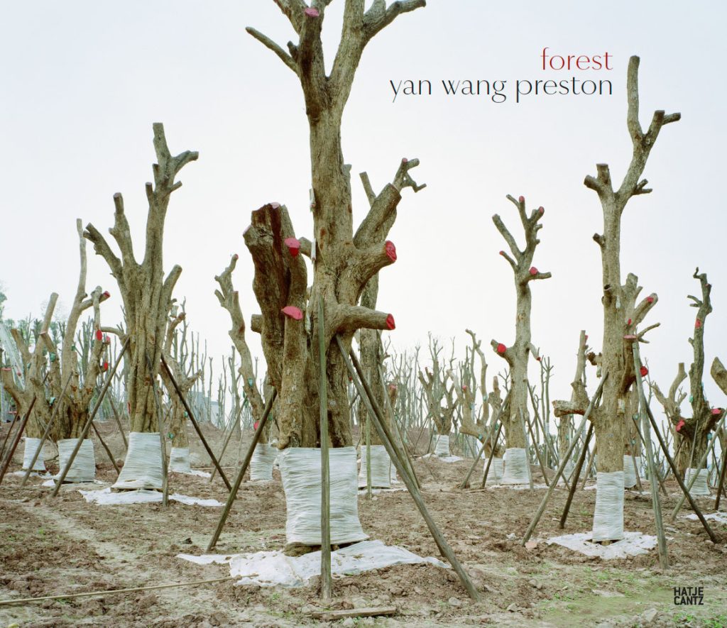 Yan Wang Preston Forest