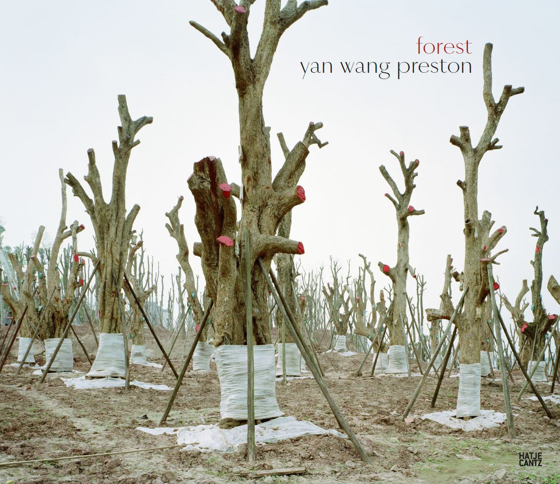 Yan Wang Preston Forest