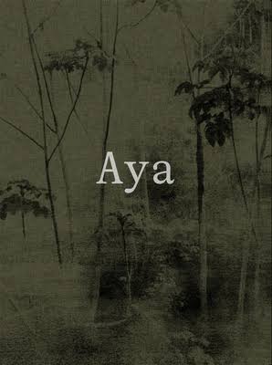 Aya Arguiñe Escandón and Yann Gross
