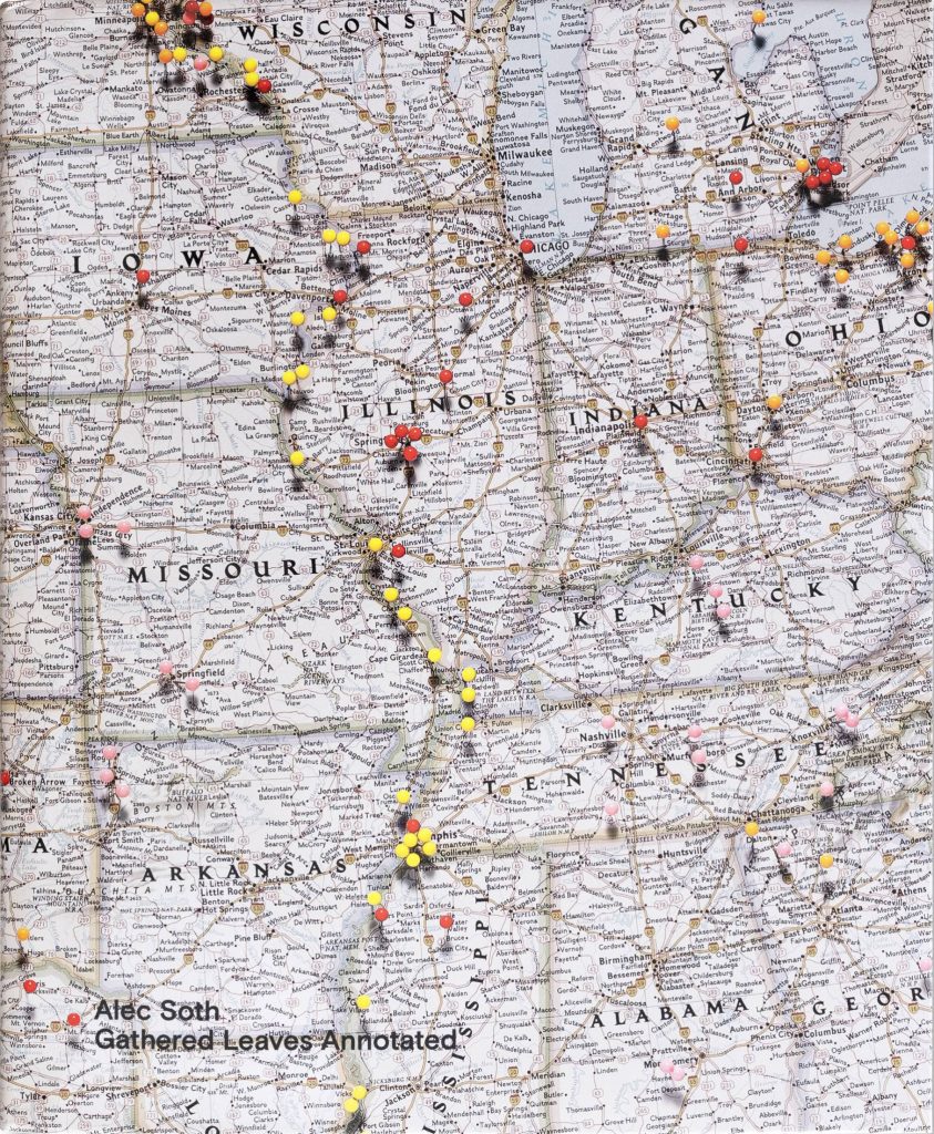 Gathered Leaves Annotated Alec Soth