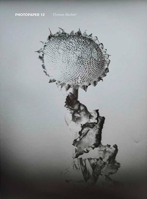 Photopaper 12 Thomas Bachler