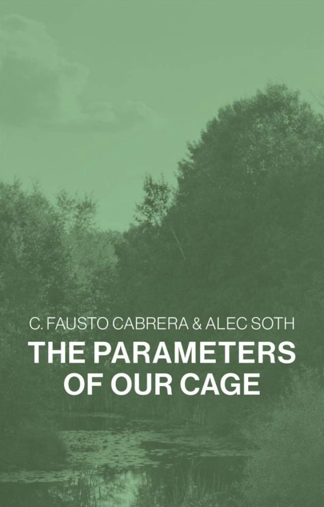 The Parameters of Our Cage