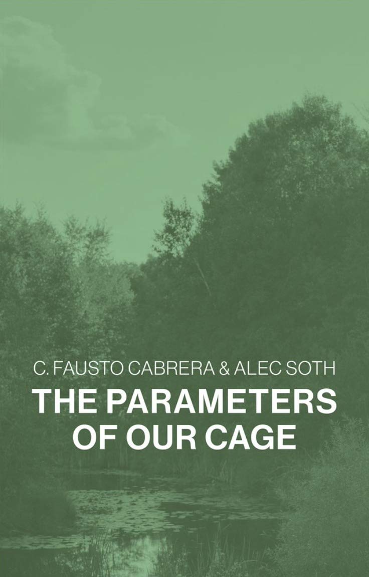 The Parameters of Our Cage