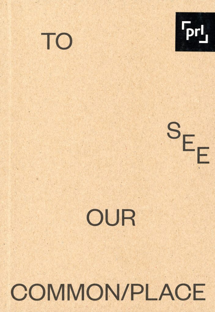 To See Our Commonplace Parallel Platform
