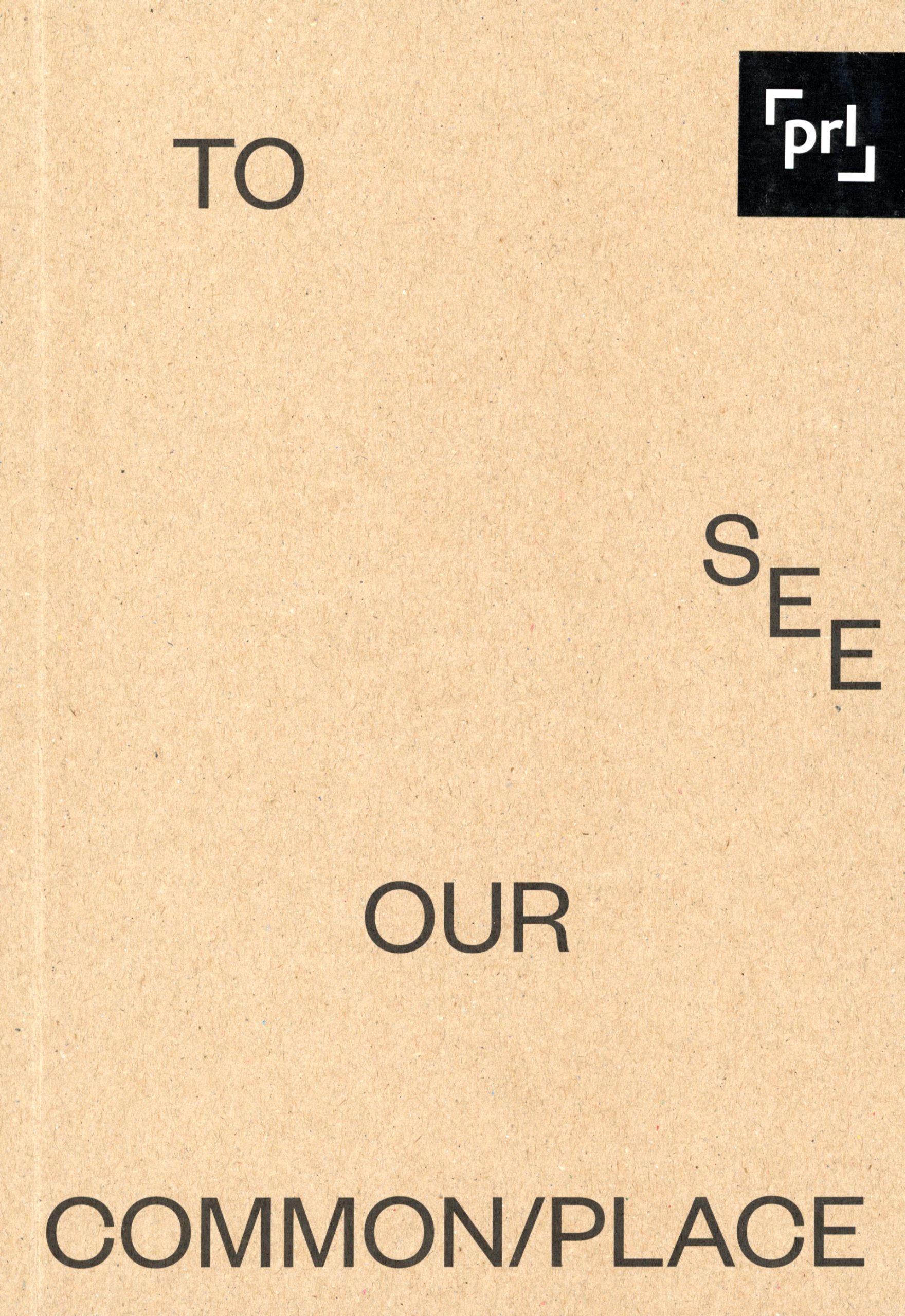 To See Our Commonplace Parallel Platform