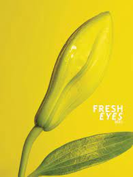Fresh Eyes: The Latest European Photography Various Artists