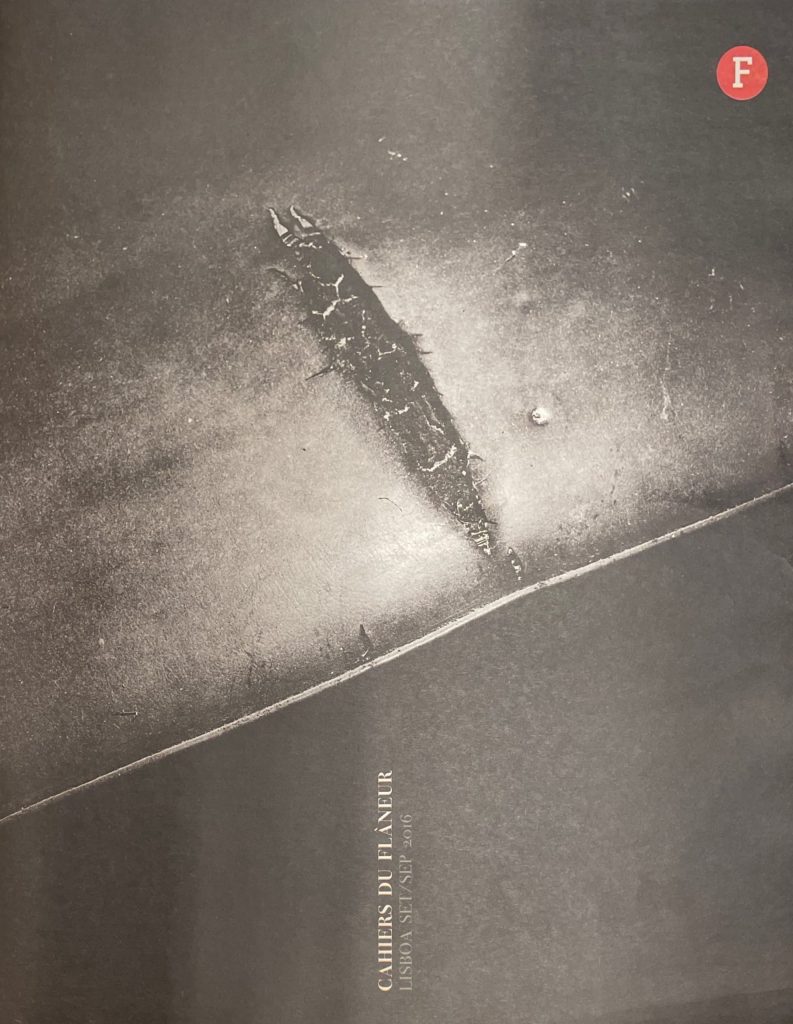 Flâneur
