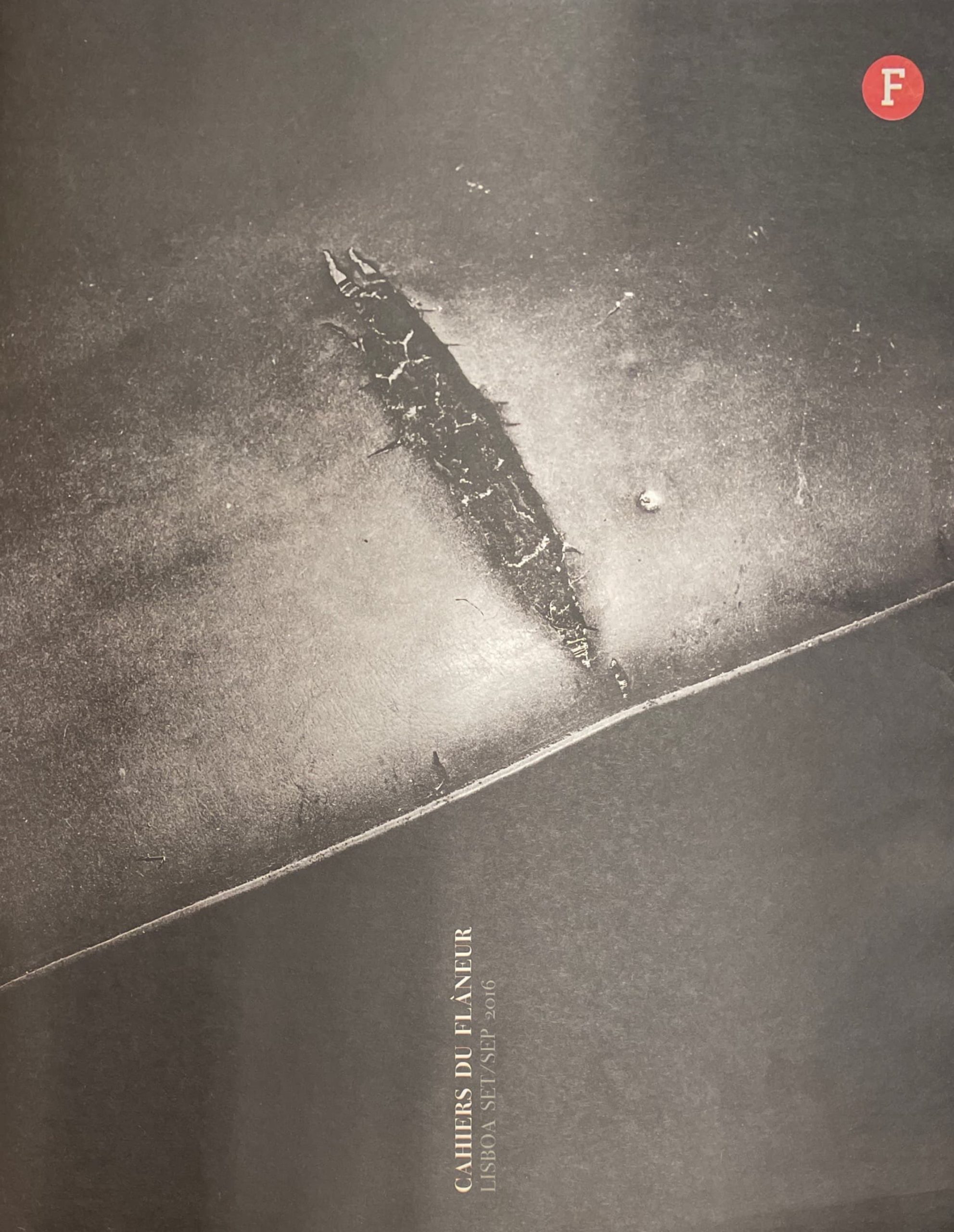 Flâneur