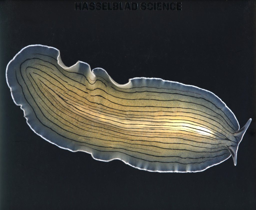 Hasselblad Science Various Artists