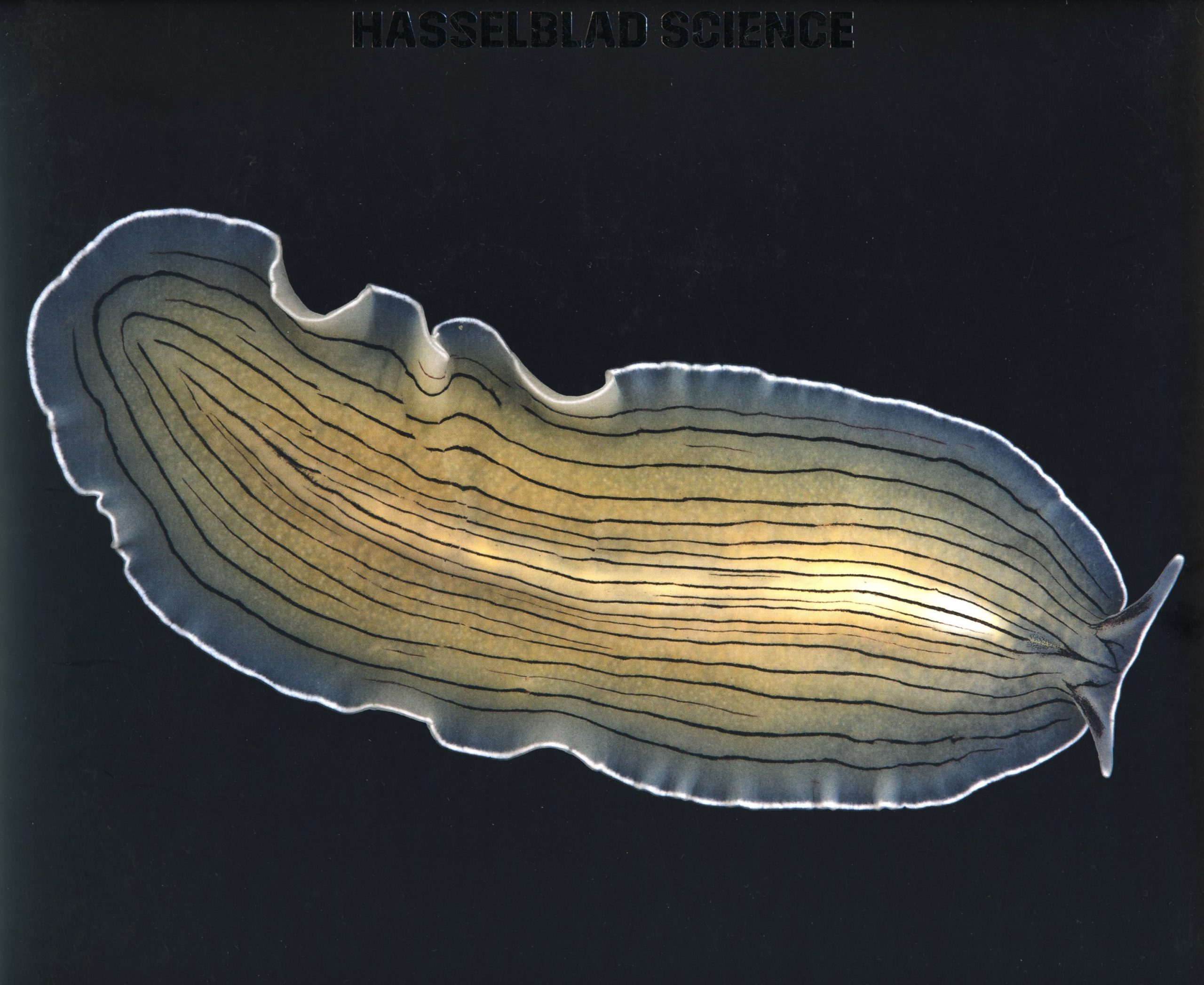 Hasselblad Science Various Artists