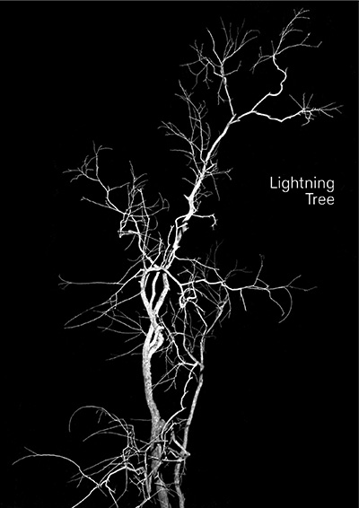 Lightning Tree