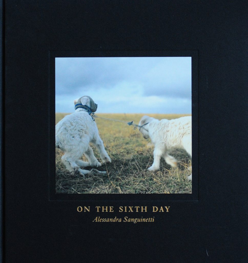 On the Sixth Day