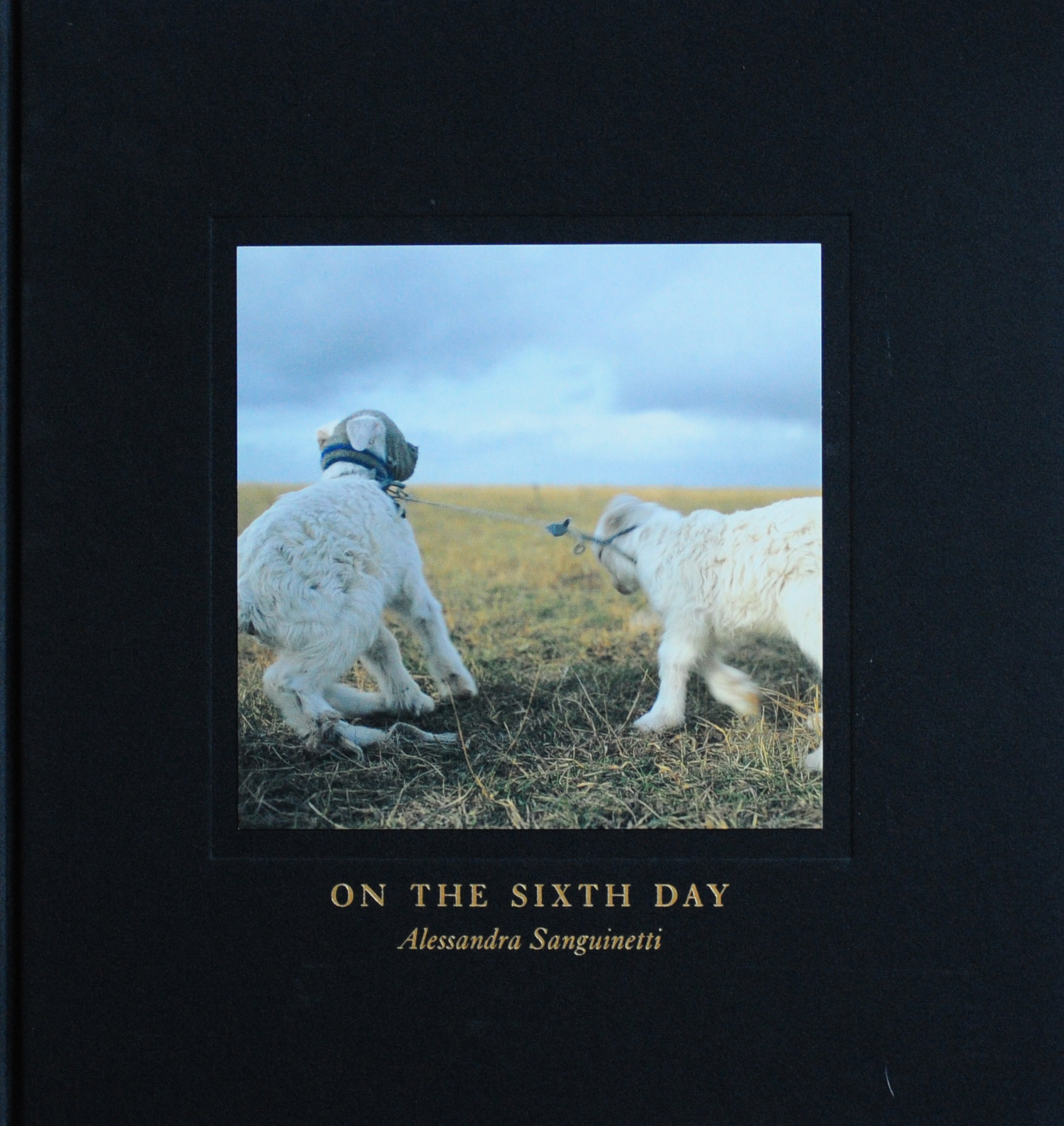 On the Sixth Day