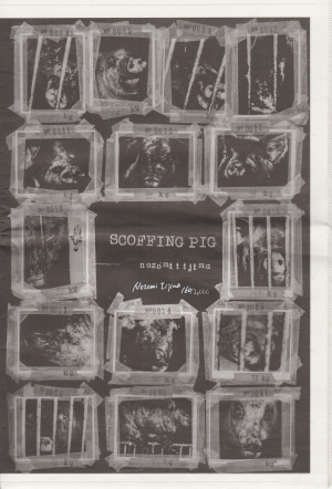 scoffing_pig_-_newsprint
