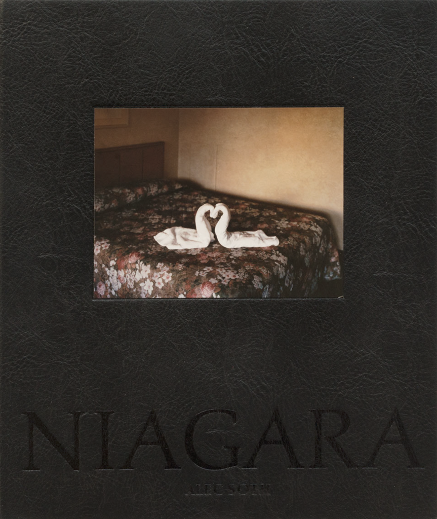 Niagara, Alec Soth